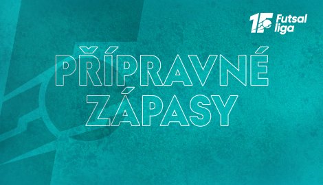 Přípravné zápasy před sezonou 2024/2025